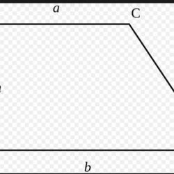 Sides parallel examples non square pairs two has figure below