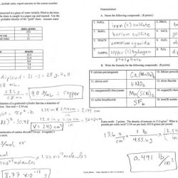 Ion practice set answer key