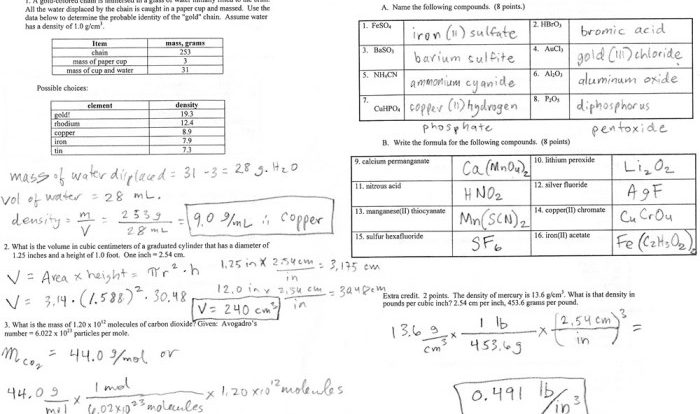 Ion practice set answer key