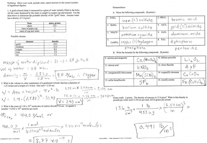 Ion practice set answer key