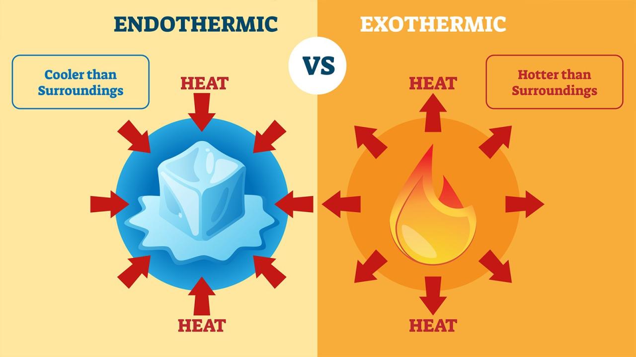 Endothermic reaction vs exothermic reaction worksheet answer key