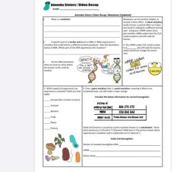 Amoeba sisters mutations worksheet answer key