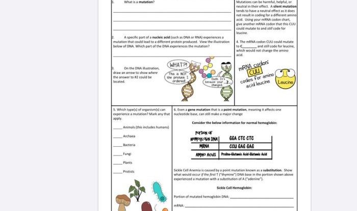 Amoeba sisters mutations worksheet answer key