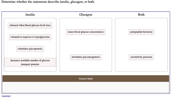 Determine whether the statements describe insulin glucagon or both