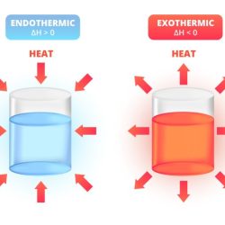 Endothermic reaction vs exothermic reaction worksheet answer key