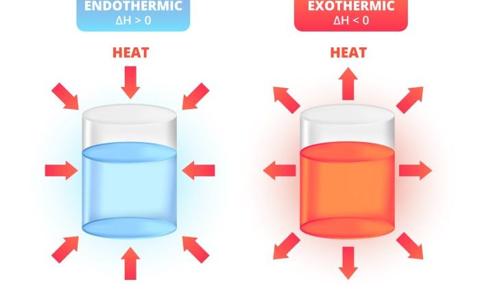 Endothermic reaction vs exothermic reaction worksheet answer key