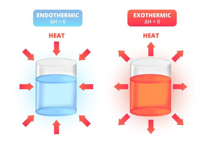 Endothermic reaction vs exothermic reaction worksheet answer key