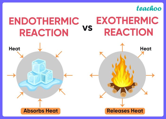 Endothermic reaction vs exothermic reaction worksheet answer key