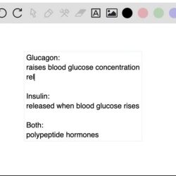 Solved insulin statements describe determine whether transcribed problem text been show has answer