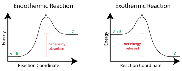 Endothermic reaction vs exothermic reaction worksheet answer key