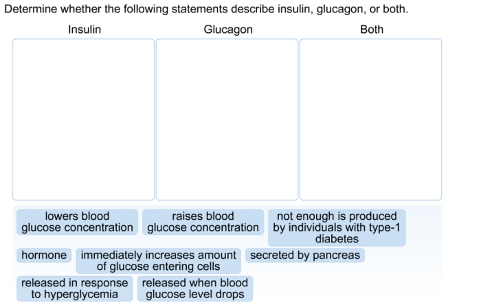 Determine whether the statements describe insulin glucagon or both